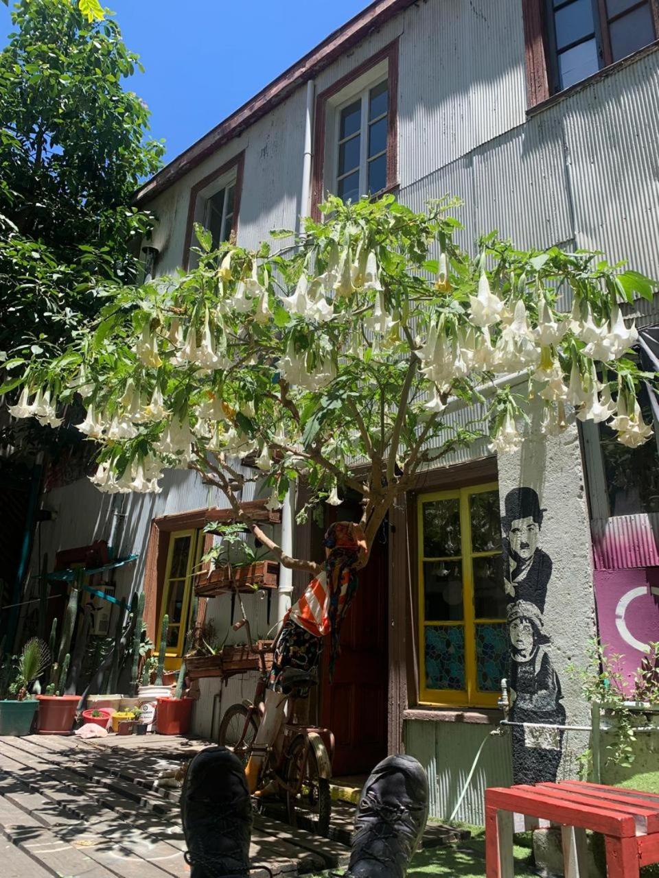 וואלפאראיסו Art Hostel Casa Chaman מראה חיצוני תמונה
